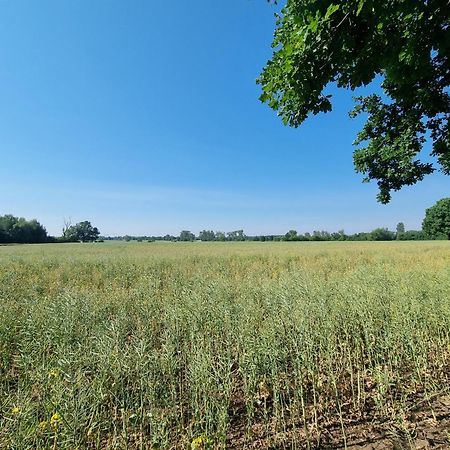 Ferienwohnung Stroebitzer Wiesen Cottbus Exteriér fotografie