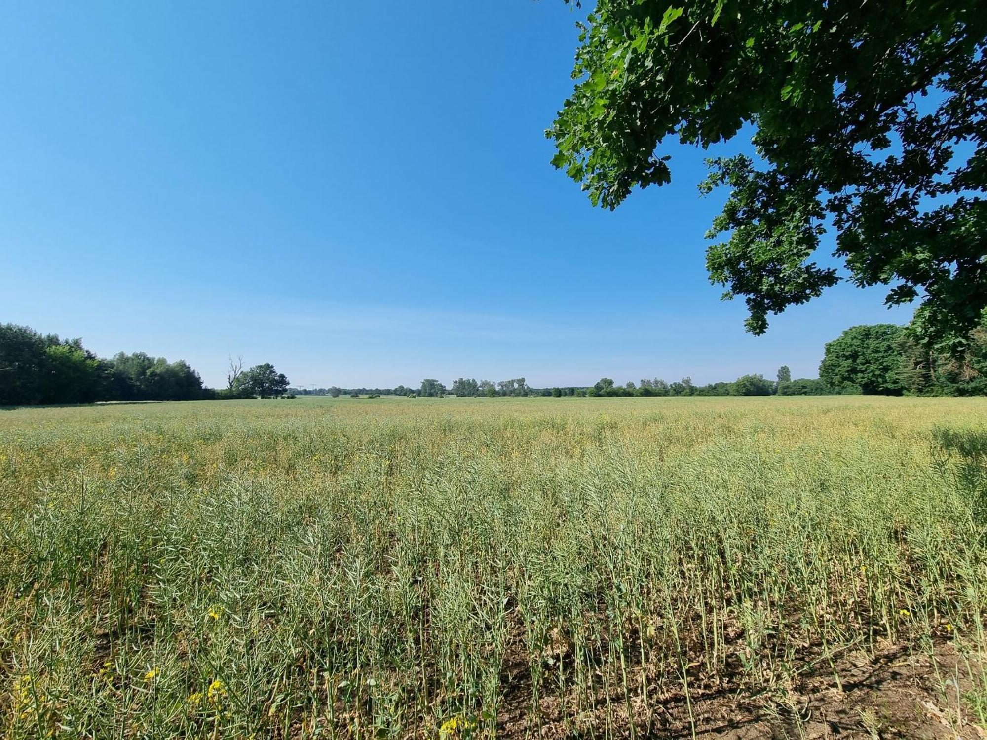 Ferienwohnung Stroebitzer Wiesen Cottbus Exteriér fotografie